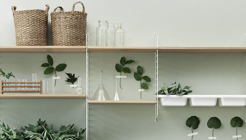 Multipurpose pine panel