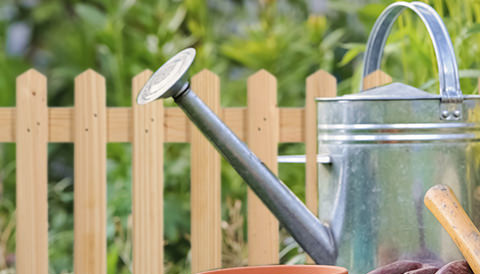 Pine picket products