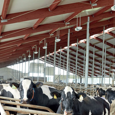Summit: ceiling and insulation solutions under one roof