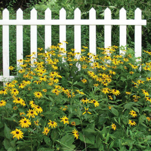 Unlock The Timeless Charm of Picket Fencing