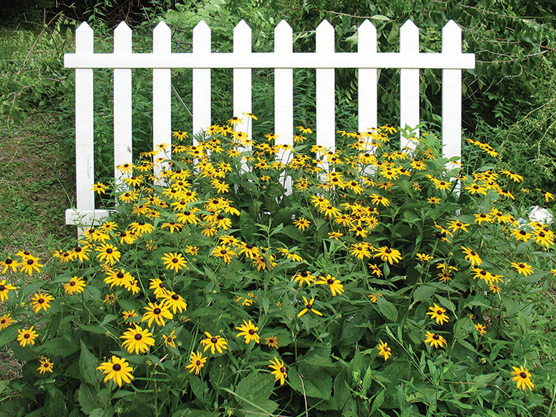 Proudly South African Picket fence